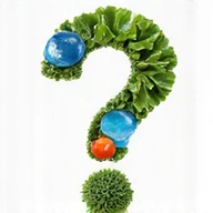 Diverse group of happy, healthy people smiling and exercising outdoors.